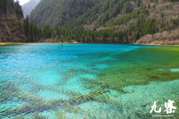 逃离大犀牛出没地